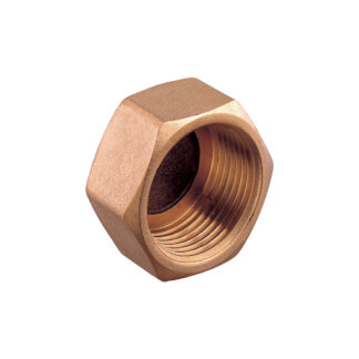 Guidi Cap Bronze Pipe Fitting 0300B-01 Main - Aquastar Distributors